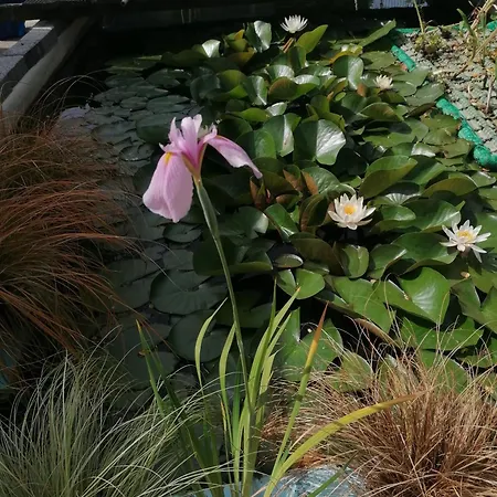 Apartment Kleines Haus Im Oderbruch *