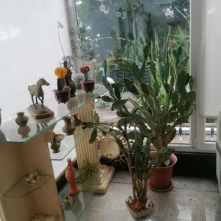 شقة Kleines Haus Im Oderbruch Neutrebbin