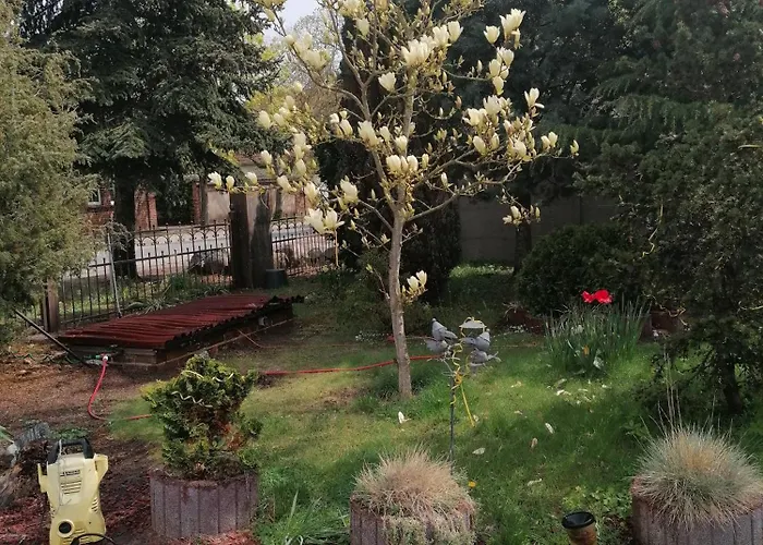 Kleines Haus Im Oderbruch Neutrebbin