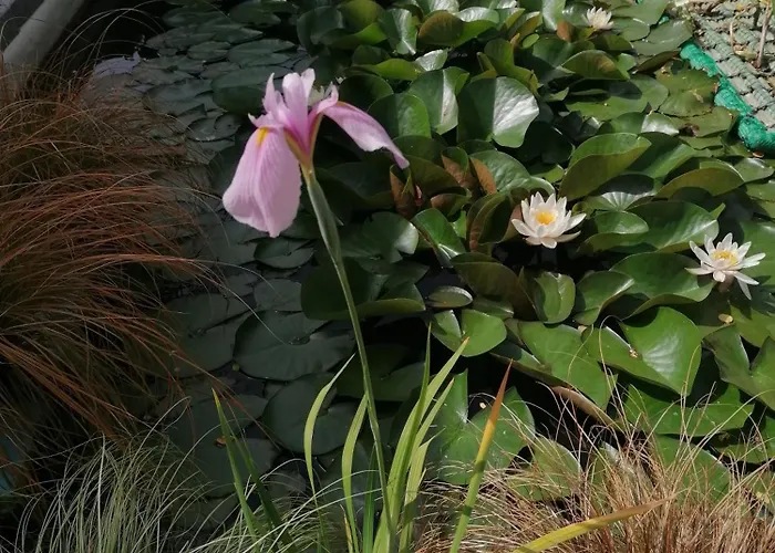 Apartment Kleines Haus Im Oderbruch *