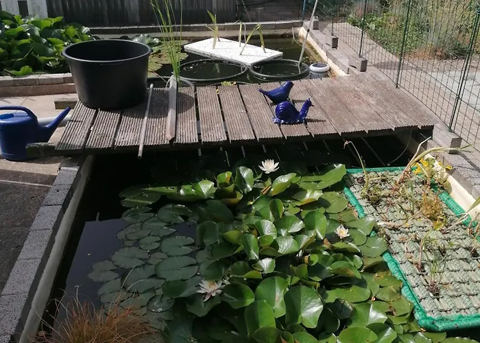 Kleines Haus Im Oderbruch Apartment Neutrebbin